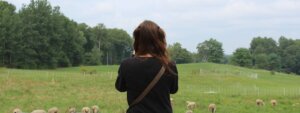 A person facing away from the camera near a field of sheep